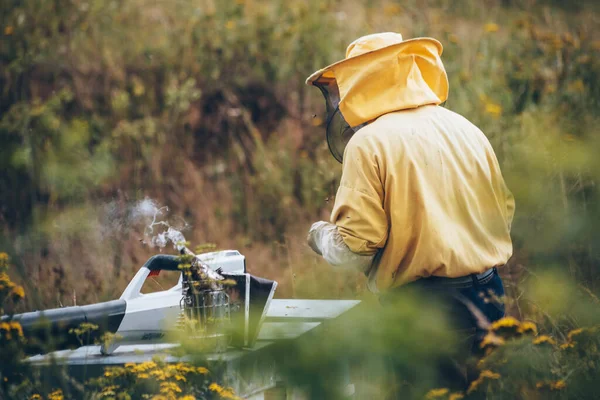 Portret Van Een Imker Beschermende Kleding Die Werkt Met Het — Stockfoto