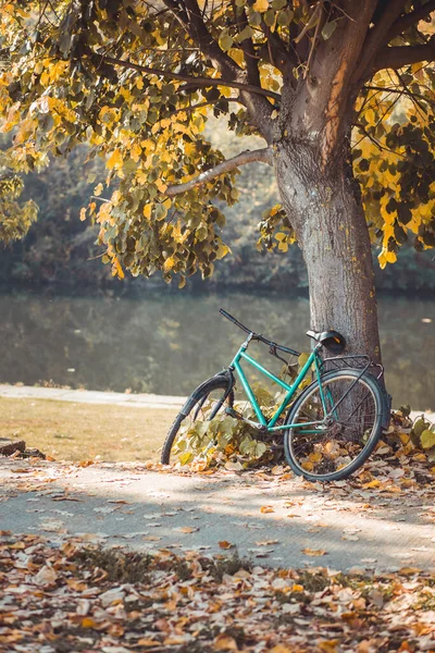 Vélo Bleu Appuyé Sur Arbre Heure Automne — Photo