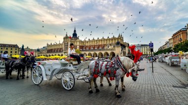 Krakow atları ile meydanda gün batımı 