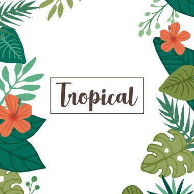 Tropikal çiçek ve tropikal yaprak elementi