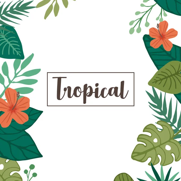 Tropikal çiçek ve tropikal yaprak elementi