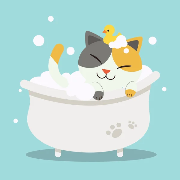 Eine Niedliche Charakter Cartoon Katze Liegt Der Badewanne Mit Entenspielzeug — Stockvektor