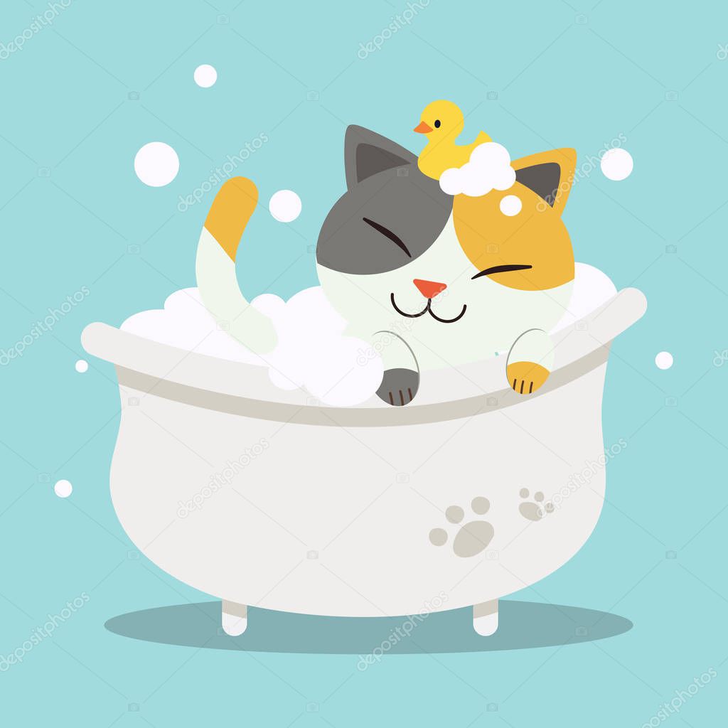 A Cute  character cartoon cat lying in the bathtub with duck toy.A Cat look relax in bathroom. A Cute cat taking a bath for clean themself. Healthcare for cat. Cute kitten in flat vector style.