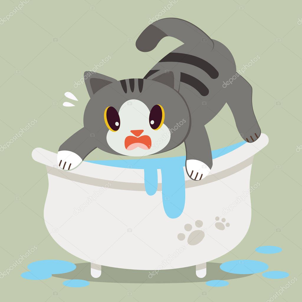 A Cute character cartoon cat afraid on bathtub.A Cute cat can't taking a bath . A cat afraid the water. Healthcare for cat. Cute kitten in flat vector style. 