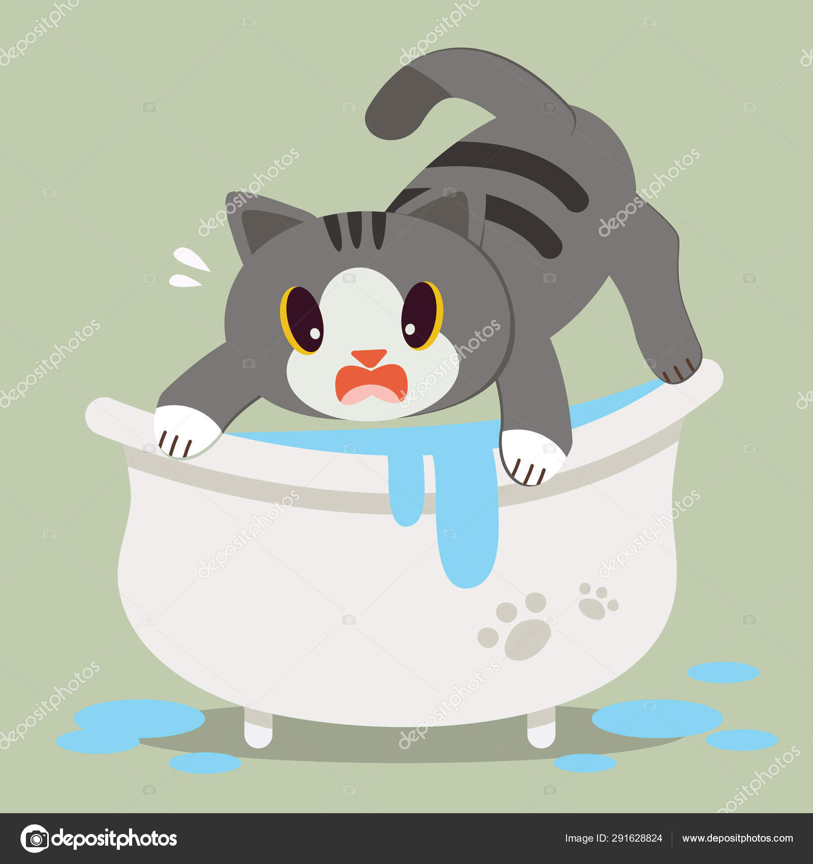 Cute Character Cartoon Cat Afraid Bathtub Can Take Cute Character Cartoon Cat Afraid