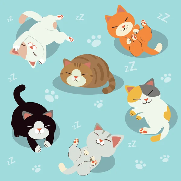 Groupe Chats Mignons Endormis Chats Relaxants Sur Fond Bleu Est — Image vectorielle