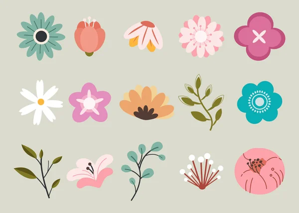 Den uppsättning av våren blomma Pack. har många form av blomma och löv — Stock vektor