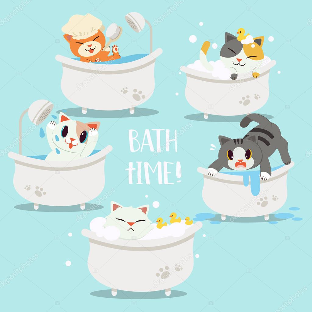 collection of a group of cute characters cartoon cats in the bathtub. happy,sad, afraid,sweet,cute,relax.bathtime.Healthcare for cats. a cute cat or kitten in flat vector style. - Vector
