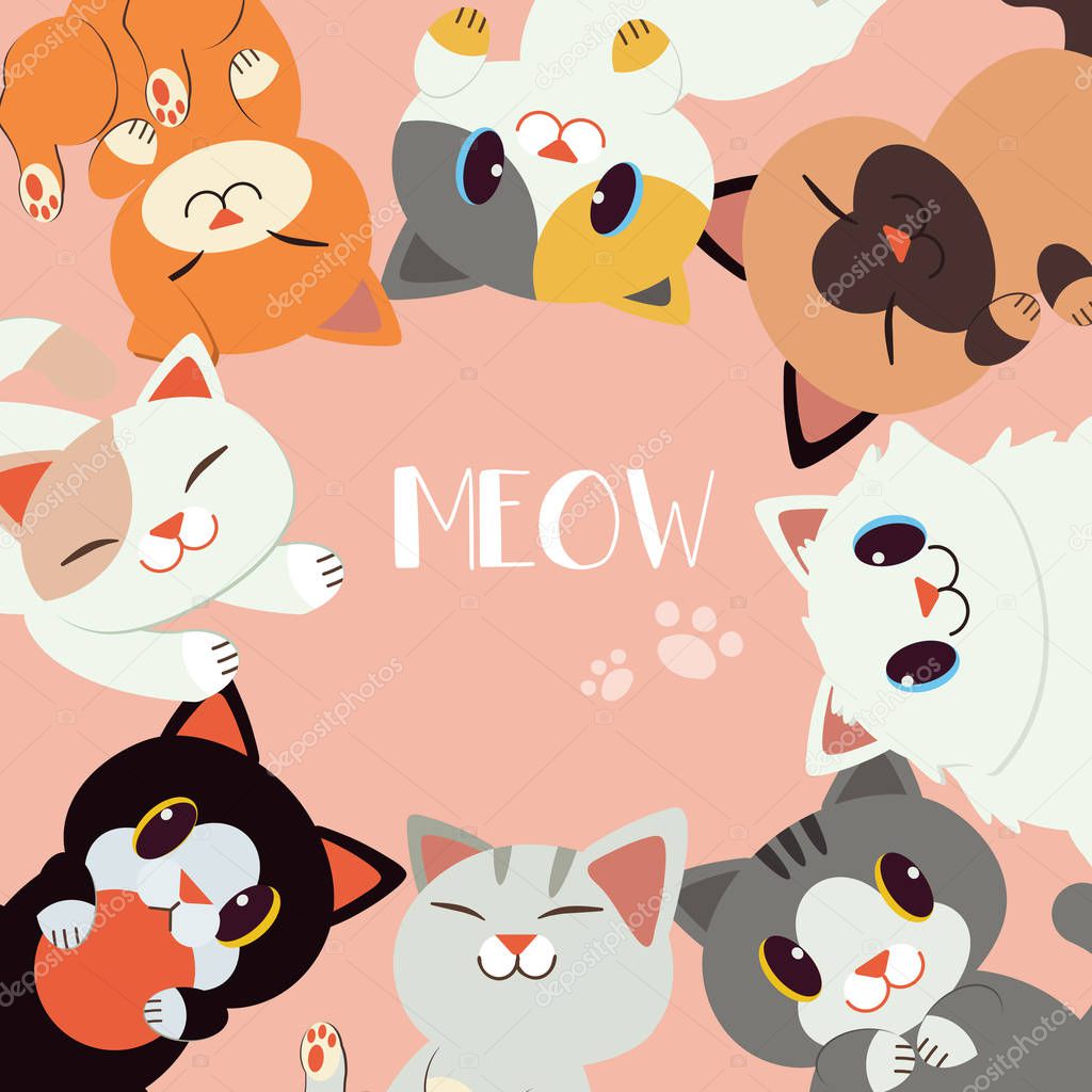 A Group of Happy cat Sit in a circle. have many  character of cute cat