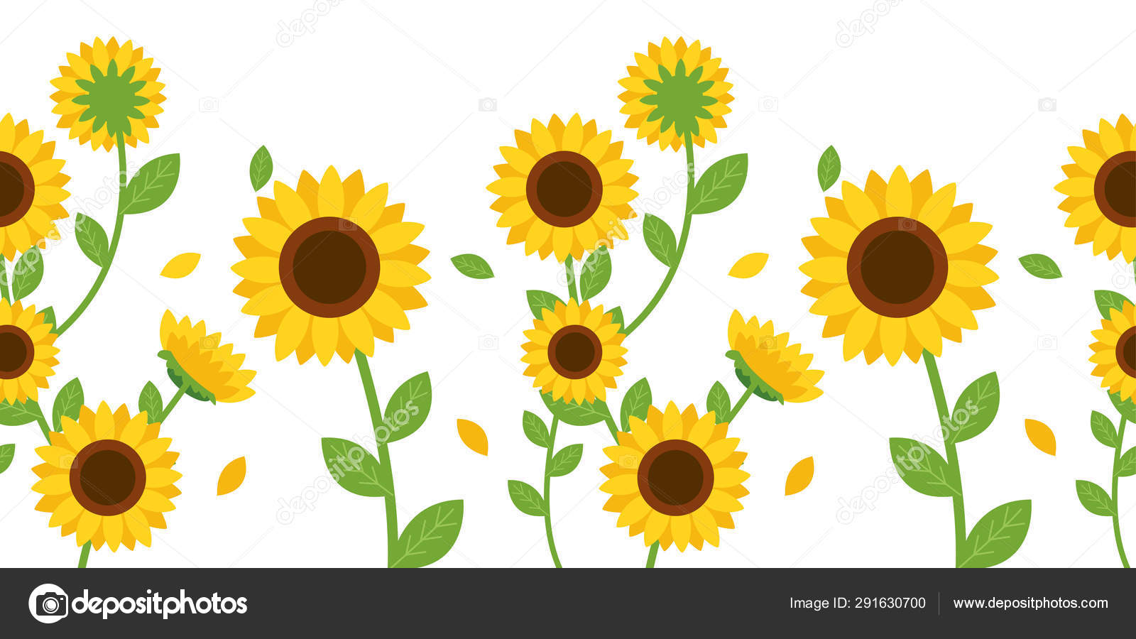 Det Sømløse Mønster Solsikker Blade Baggrunden Det Sømløse Mønster Solsikke  Stockvektor af ©Guppictheduck 291630700, image size:1600x900