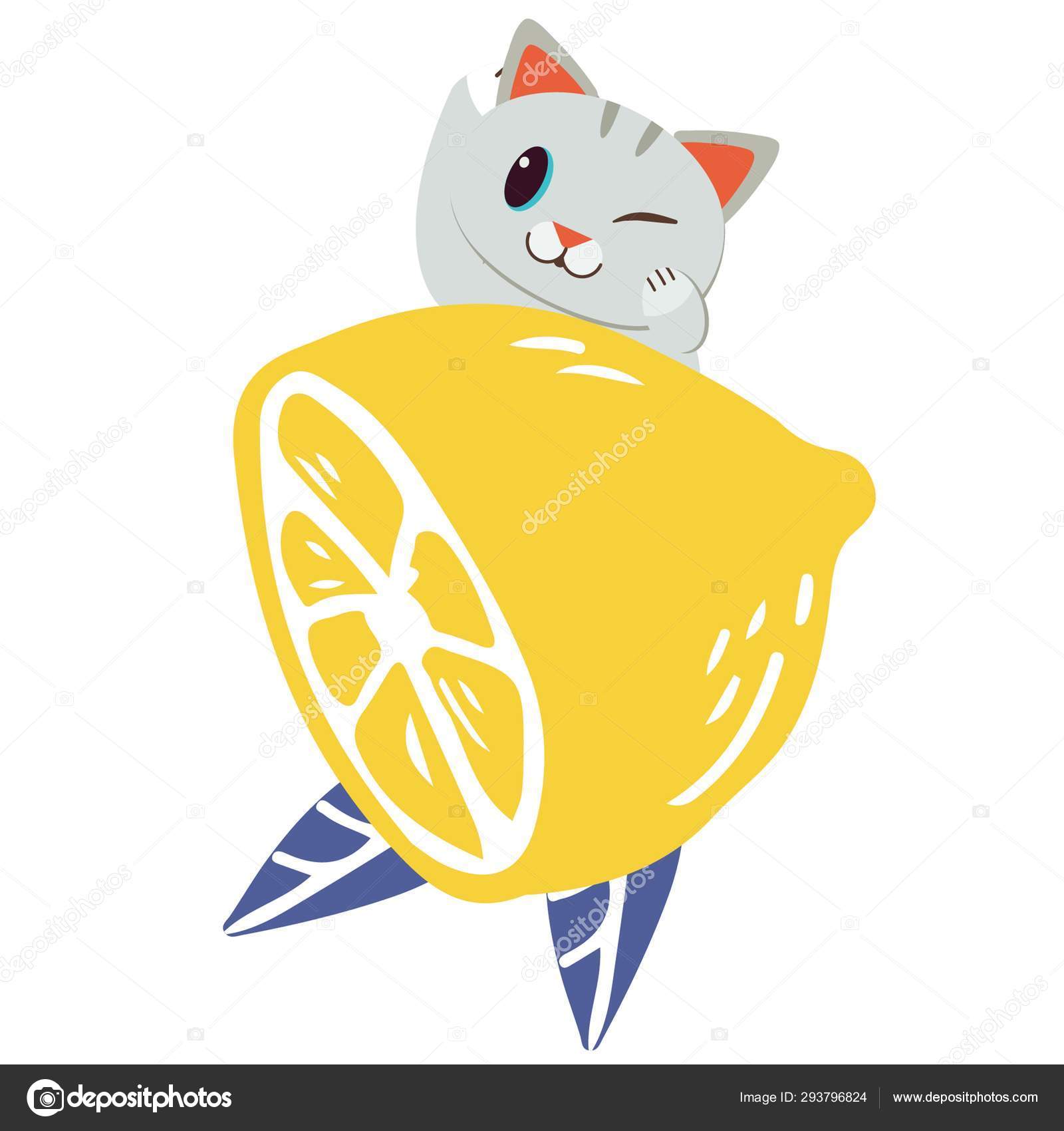 Image vectorielle Mignon Chat Citron Illustration Vectorielle Simple par  ©Guppictheduck - 293796824, image size:1600x1700