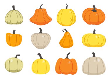 kabak desen, sadece vektör illüstrasyon  