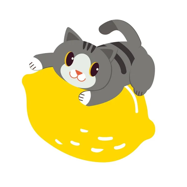 Lindo Gato Limón Simplemente Vector Ilustración — Archivo Imágenes Vectoriales