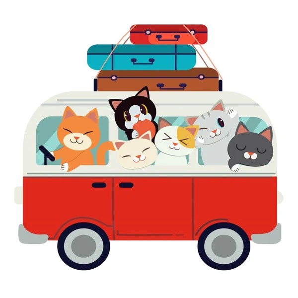 Gatos Carro Simplesmente Ilustração Vetorial — Vetor de Stock