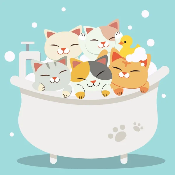 Il gruppo di personaggi gatti carini fare un bagno con vasca da bagno hanno — Vettoriale Stock