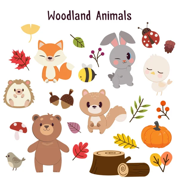 Kolekcja zwierząt leśnych zestaw. Charakter cute — Wektor stockowy