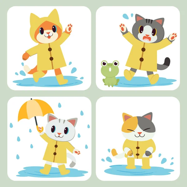 La collezione di carino gatto indossare l'impermeabile giallo e ombrello — Vettoriale Stock