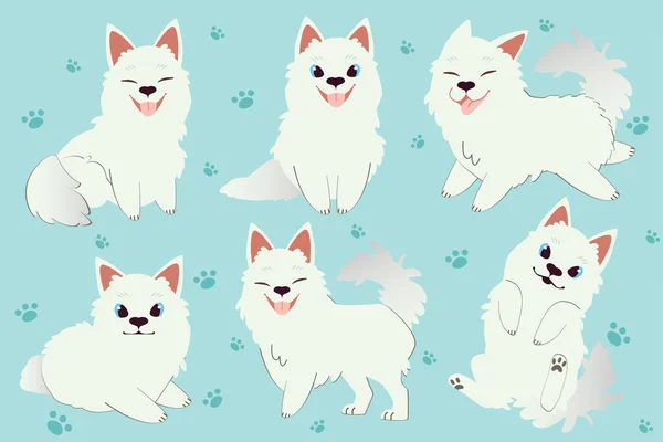 ตัวละครของสุนัข samoyed น่ารักนั่งและยืนบน bl — ภาพเวกเตอร์สต็อก