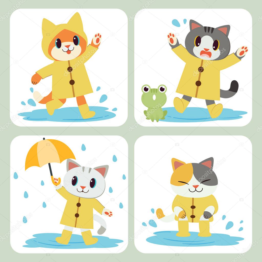The collection of cute cat wear the yellow raincoat and umbrella