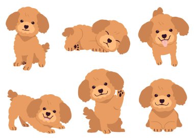 Bir çok eylemde kaniş koleksiyonu. Köpekler hakkında grafiksel kaynak kaniş grafiği, içerik vs.. 