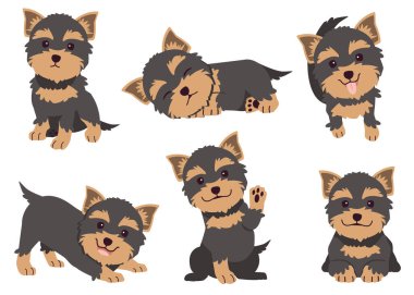 The collection of Yorkshire terrier in many action. Graphic resource about set of dogs Yorkshire terrier for graphic, content, etc.  clipart