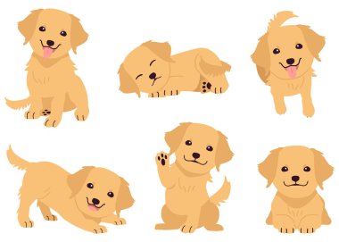 Golden Retriever 'ın birçok hareketindeki koleksiyonu. Grafik, içerik vs. için golden retriever hakkında grafik kaynağı. 