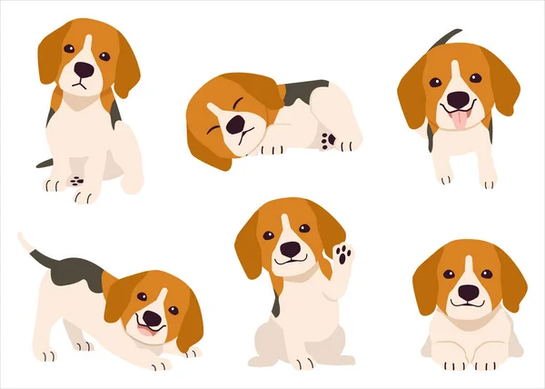 Pek Çok Eylemde Bir Köpeği Koleksiyonu Grafik Içerik Için Beagle — Stok Vektör