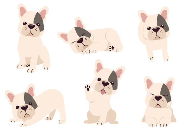 Колекція Франчайзингової Собаки Багатьох Діях Графічний Ресурс Про Собаку Франшизи — стоковий вектор