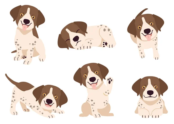 日耳曼剪贴画集在许多动作中 Graphic Resource Set Dogs German Shorthaired Pointer Graphic Content — 图库矢量图片