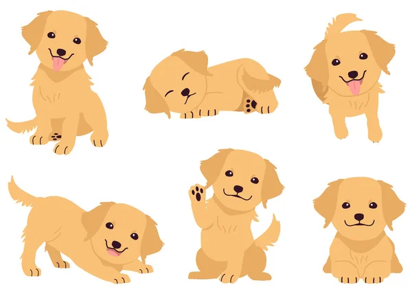 Collection Golden Retriever Many Action Graphic Resource Golden Retriever Graphic — Stock Vector