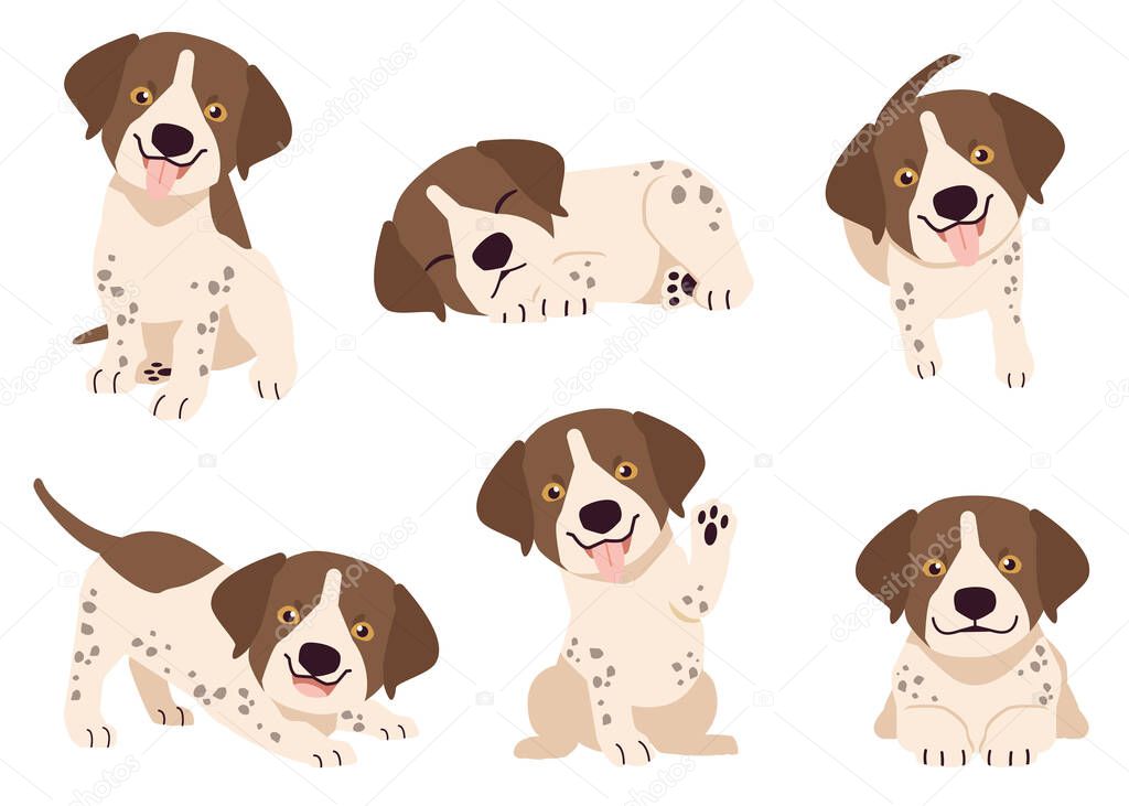 The collection of German Shorthaired Pointer in many action. Graphic resource about set of dogs German Shorthaired Pointer for graphic, content, etc. 