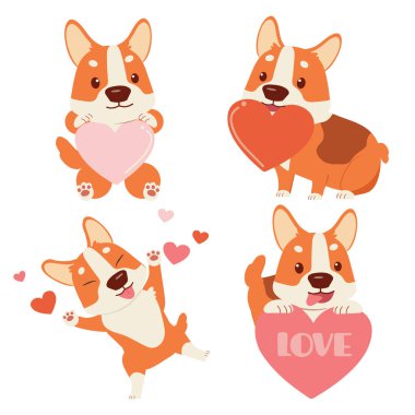 Beyaz arka planda kalbi olan şirin bir Corgi köpeği koleksiyonu. Sevgililer günü temalı şirin Corgi köpeği karakteri. Düz vektör tarzında şirin corgi köpeği karakteri.