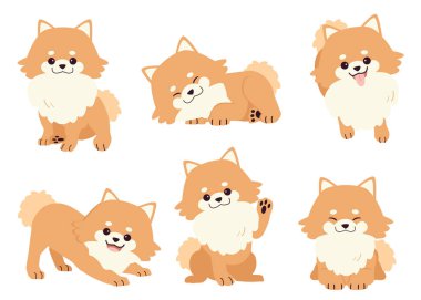 Pek çok eylemde Pomeranya köpeği koleksiyonu. Grafik, içerik vs. için Pomeranian köpek kümesi hakkında grafiksel kaynak. 