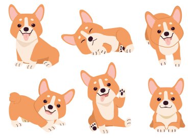 Birçok eylemde Corgi koleksiyonu. Grafik, içerik vs. için köpek corgi kümesi hakkında grafik kaynak. 