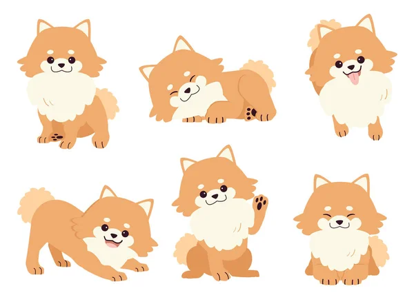 Collection Pomeranian Dog Many Action Graphic Resource Set Dogs Pomeranian — Stock Vector