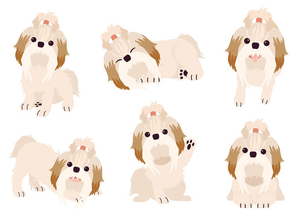 Коллекция shihtzu собака во многих действиях с плоским векторным стилем. Графический ресурс о наборе собак бостон-терьеров для графики, контента и т.д.. 