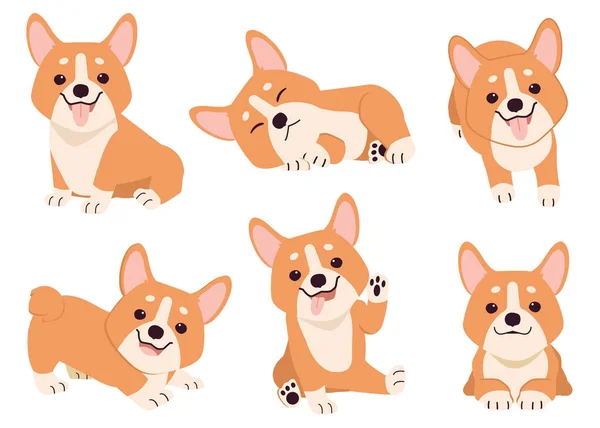 Collection Corgi Many Action Graphic Resource Set Dogs Corgi Graphic — Stock Vector
