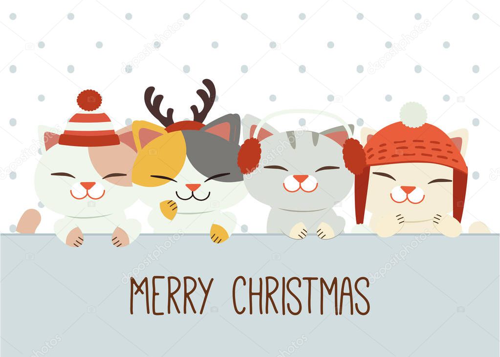 The banner of cute cat and friends with winter accerssoties in flat vector style. illustation about christmas for graphic,content , banner, sticker label and greeting card.