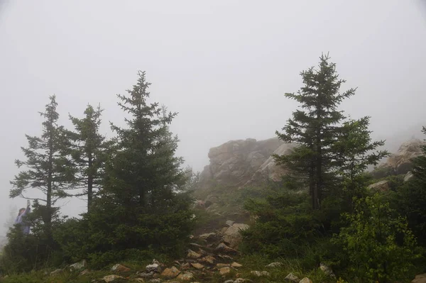 Misty Mysterious Forest Mountain Zyuratkul Ural Autumn — Stock Photo, Image