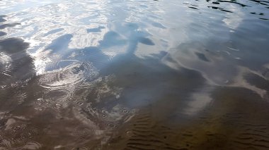 Güneşli bir günde Quarry Corner. Vsevolozhsk, Leningrad bölgesi