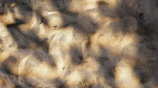 Pattern Sandy Beach Sun Shade — Stock Photo, Image