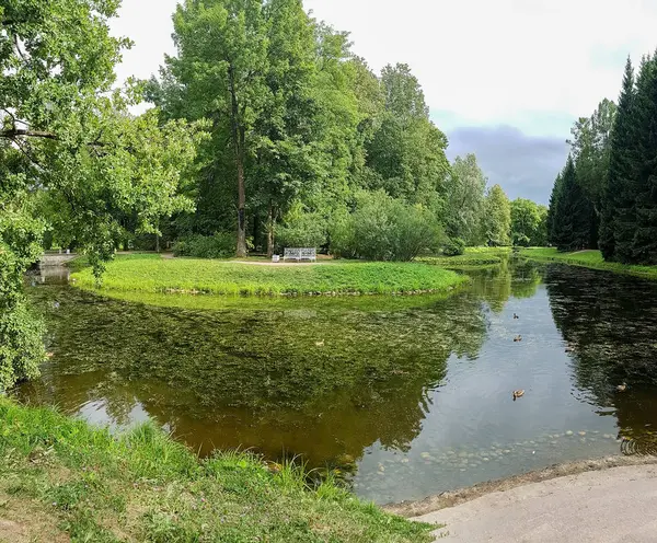 Панорамний Вид Катерининський Сад Другій Половині Дня — стокове фото