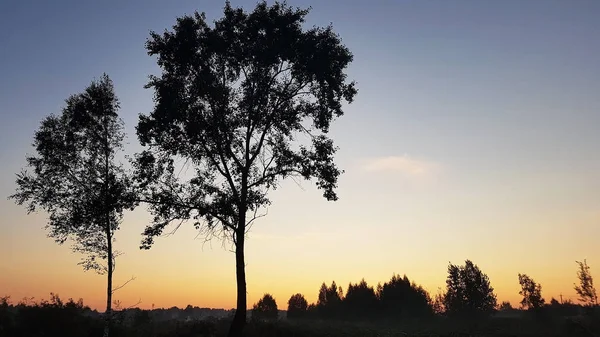 Beau Lever Soleil Aux Couleurs Bleu Jaune — Photo