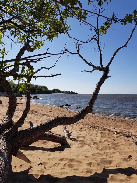 Belle Vue Sur Plage Sable Golfe Finlande Saint Pétersbourg Par — Photo