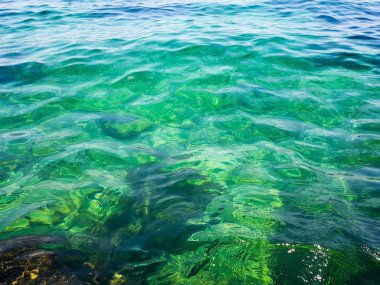 Yeşil ve mavi tonları ile karadenizin güzel berrak su. Suyun içinden dibi, yosunları ve mercanları görebilirsiniz.