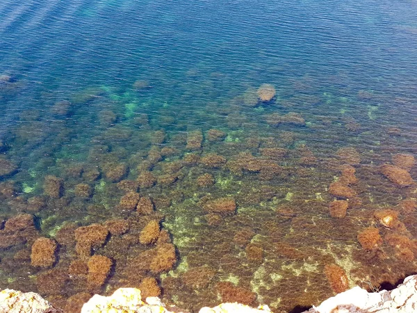 Bela Água Clara Mar Negro Com Tons Verde Azul Através — Fotografia de Stock