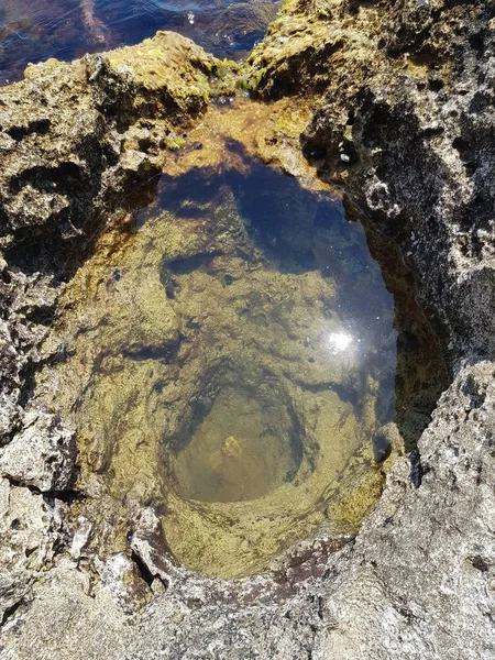 Crystal clear water in a puddle of pits rocky coast of gray rock. Relief of the rocky coast