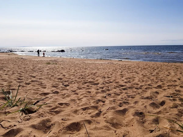 Panorama Golfe Finlande Plage Sable Vagues Baie Journée Ensoleillée Ciel — Photo