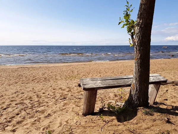 Endroit Merveilleux Pour Rester Banc Gris Bois Sur Une Plage — Photo