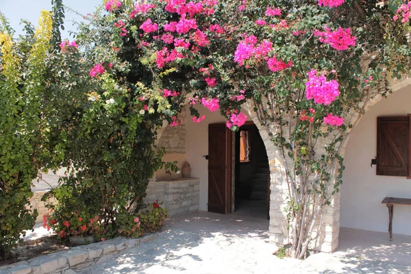 A plant with beautiful rose bushes on the arch of the entrance d Royalty Free Stock Images